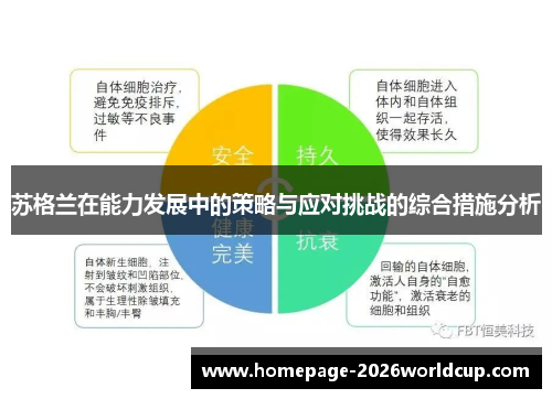 苏格兰在能力发展中的策略与应对挑战的综合措施分析
